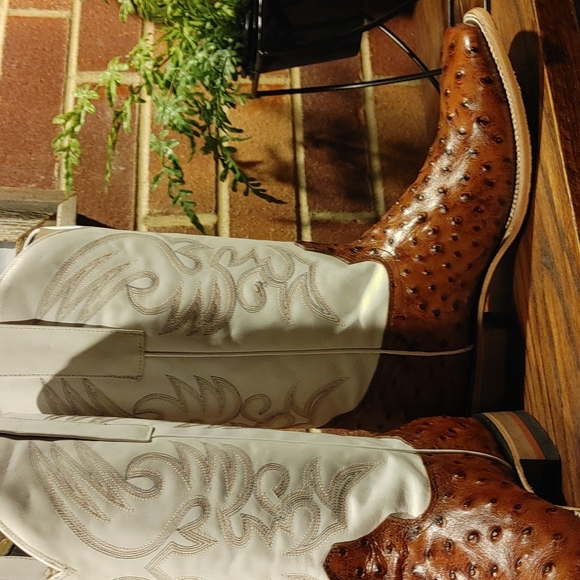 Ostrich Boots 11.5 NIB - Picture 4 of 8
